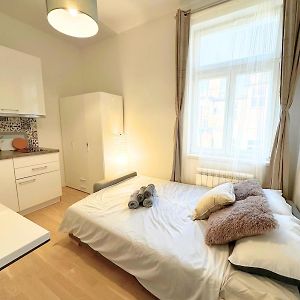 Appartement met een Slaapkamer